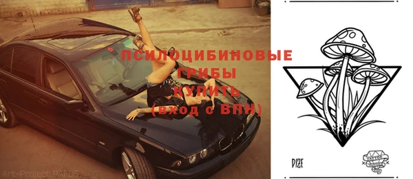 мескалин Алексин