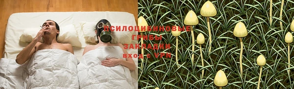 мескалин Алексин