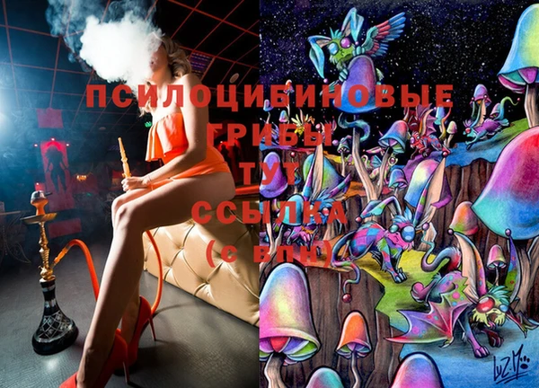 гидра Алексеевка