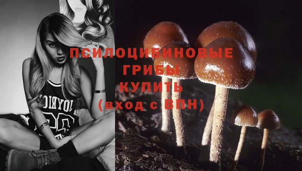 мескалин Алексин
