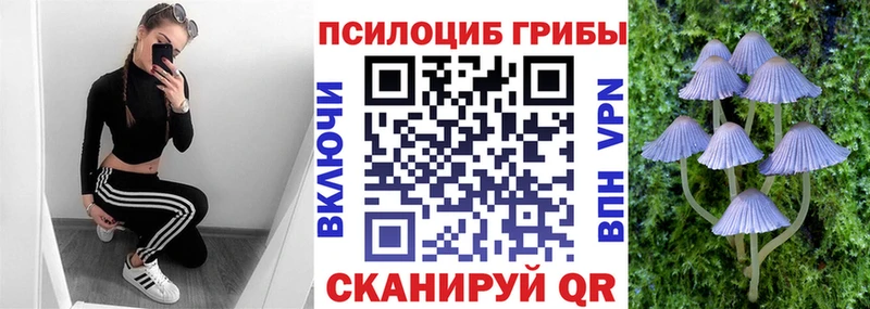 Псилоцибиновые грибы мухоморы  Олонец 